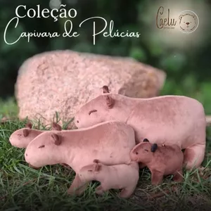 Imagem de capa para o Curso online Coleção Capivara