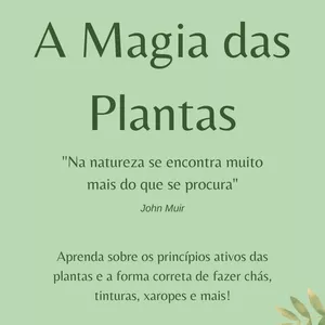 Imagem de capa para o Ebook A Magia das Plantas - Aprenda a utilizar as Plantas Medicinais da forma correta