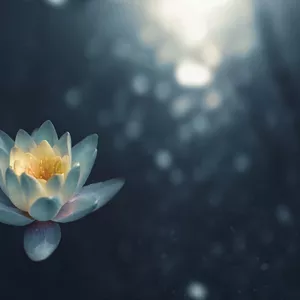 Imagen de portada para Curso online Kit de Regulación Profunda para el Estrés y Sistema Nervioso