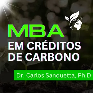 Imagem de capa para o Curso online MBA em Créditos de Carbono