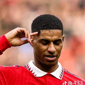 Imagem de capa para o Curso online Papaei de parede para celulares 