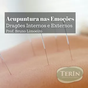 Imagem do curso Acupuntura nas Emoções - Dragões Internos e Externos