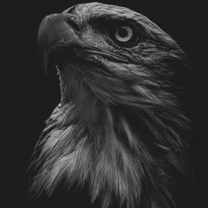 Imagem de capa para o Ebook Além do Pódio: Volume 1
