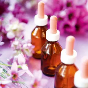 Imagem de capa para o Curso online Mudando Sua Vida Com Os Florais