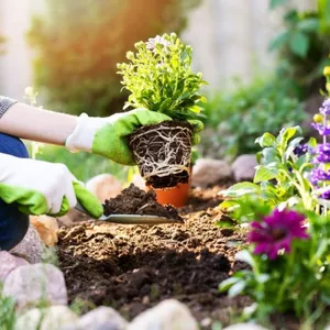 Imagen de portada para Ebook Curso de jardinería básico