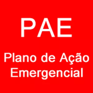Imagem de capa para o Curso online Modelo PAE- PLANO DE AÇÃO EMERGENCIAL