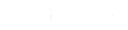 Wit & Wire