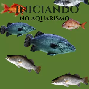 Imagem de capa para o Ebook iniciando no aquarismo 🐟