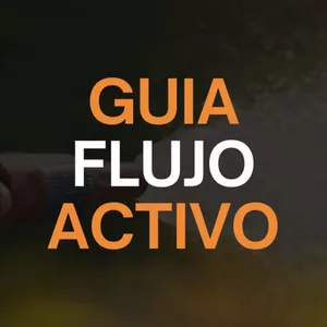 Imagen de portada para Curso online Guía Flujo Activo
