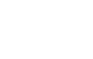 The Academy PT Online logo