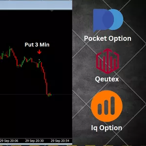 Cover image for Online course White Dots Bot For Trading
