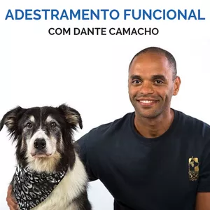 Imagem de capa para o Curso online Adestramento Funcional - Dante Camacho