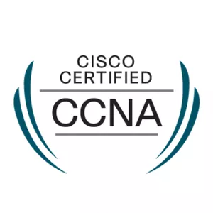 Imagem de capa para o Curso online Formação CCNA