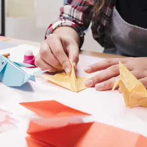 Imagen de portada para Ebook "Desplegando la Creatividad: Curso de Origami para Principiantes"