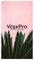 WaxProAcademy