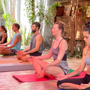 Imagen de portada para Curso online Aulas de Hatha e Vinyasa Yoga.