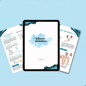 Imagem de capa para o Ebook Resumo do sistema urinário 