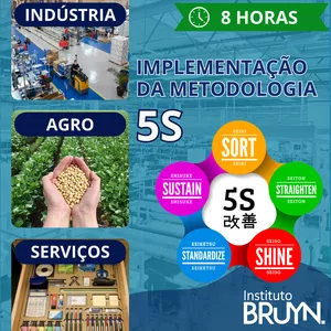 Imagem do curso Implementação da Metodologia 5S