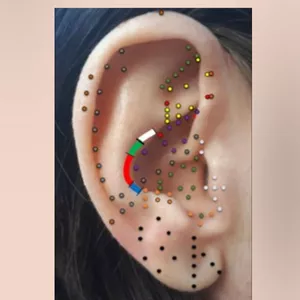 Imagem de capa para o Ebook GUIA PRÁTICO E COMPLETO DE AURICULOTERAPIA: APRENDA UMA TÉCNICA CAPAZ DE CURAR AS QUEIXAS DE DORES DAS PESSOAS NA 1a SESSÃO.