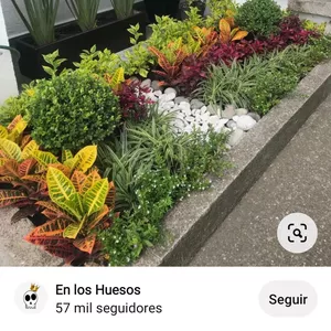 Imagen de portada para Curso online Abono orgánico 