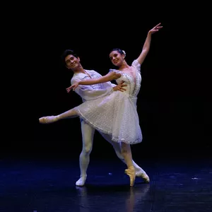 Imagem principal do produto Ballet de Repertório - Por Bruna Viana