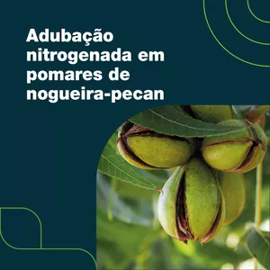 Imagem de capa para o Curso online Adubação nitrogenada em pomares de nogueira-pecan