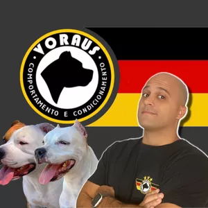 Imagem de capa para o Serviço online Consultoria Básica On-line