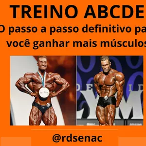 Imagem de capa para o Ebook TREINO ABCDE