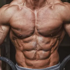 Imagem de capa para o Ebook Treino de peito, ombro e tríceps (Iniciante)