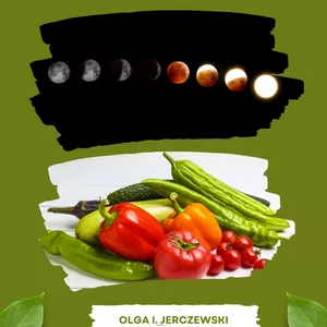 Imagem de capa para o Ebook Cultive com a Energia da Lua