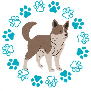 Imagen de portada para Curso online OBDC - Dog Training