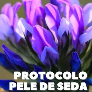 Imagem de capa para o Ebook Protocolo Pele de Seda: O Guia Definitivo Para Combater Celulites e Estrias em 30 Dias