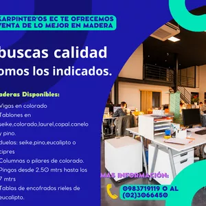 Imagen de portada para Curso online VENTA Y SERVIDOS EN MADERA 