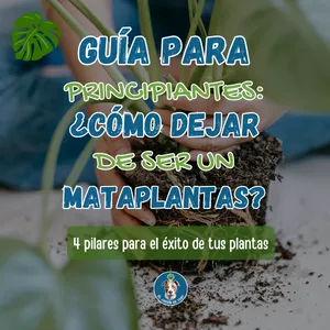 Imagen de portada para Ebook Guía para principiantes: ¿Cómo dejar de ser un mataplantas?