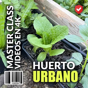 Imagen de portada para Curso online Crea tu Huerto Urbano en Macetas