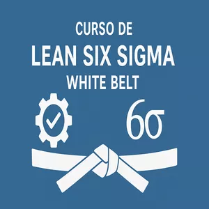 Imagem do curso Curso White Belt Lean Seis Sigma