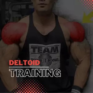 Cover image for Ebook perfect deltoid workout