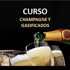 Imagen de portada para Ebook CURSO CHAMPAGNE Y GASIFICADOS 