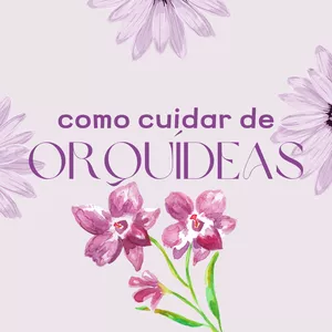 Imagem de capa para o Ebook MANUAL PARA CUIDAR DE ORQUÍDEAS