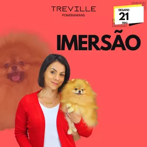 Imagem de capa para o Curso online Imersão: Desafio 21 Dias