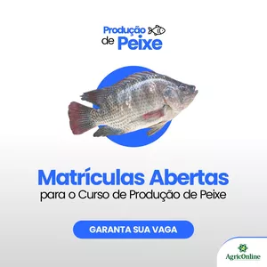 Imagem de capa para o Curso online Produção e Manejo de Peixes