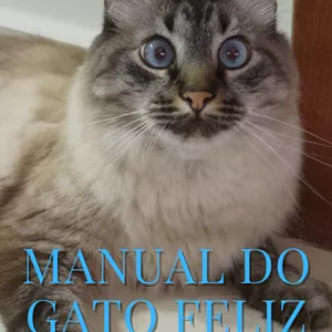 Imagem de capa para o Ebook Manual do Gato Feliz: técnicas para cuidar bem dos gatos