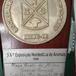 Imagem de capa para o Curso online A arte do Homem do Cavalo.