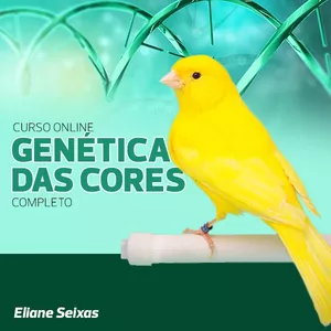 Imagem do curso Curso de Genética das Cores dos Canários - On-Line