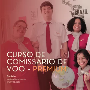 Imagem de capa para o Curso online Comissário de Voo EAD - Premium