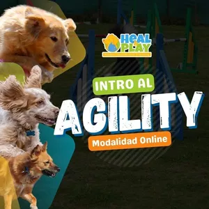Imagen de portada para Curso online Curso Online "Intro al Agility"