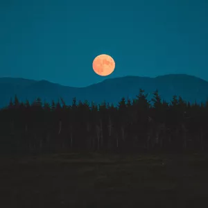 Imagem de capa para o Curso online Acompanhamento Ritual Lunar