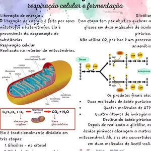 Imagem de capa para o Ebook Resumo de Bioenergética