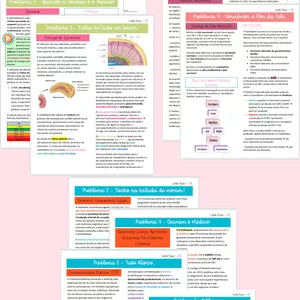 Imagem de capa para o Ebook Combo - Todos os Resumos do 8º Semestre!