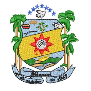 Imagem de capa para o Ebook Matriz de Bordado Brasão Bannach Pará